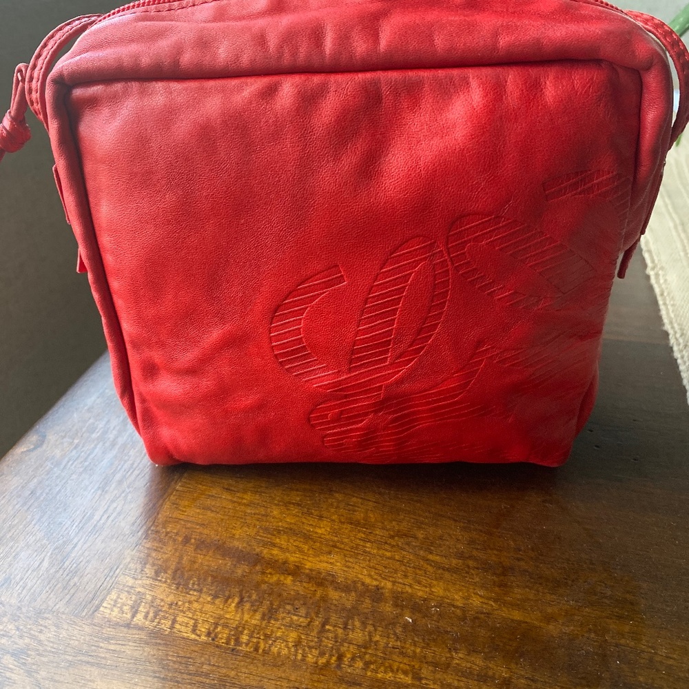 Loewe bag